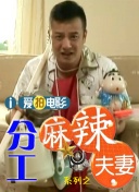 国产高清精品入口麻豆