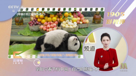 白洁与高义全文阅读笔趣阁